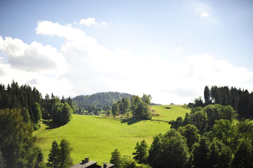 Ferien Residenz Bergfried Hinterzarten Exterior foto